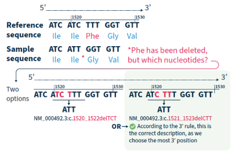 Understand The HGVS Nomenclature: A Comprehensive Guide - SOPHiA GENETICS